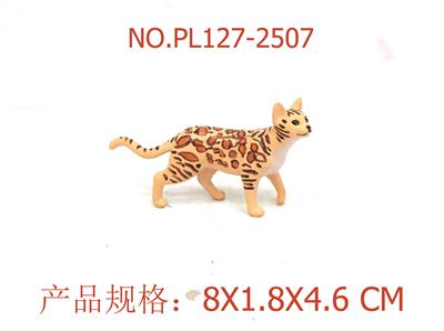 孟加拉豹猫 - OBL949747