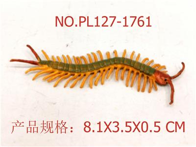 虎斑巨蜈蚣（仔） - OBL949763