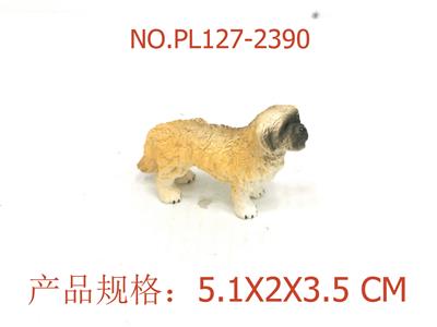 西施马耳他犬 - OBL949783