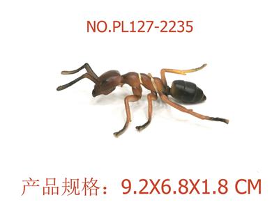 棕色蚂蚁 - OBL949790