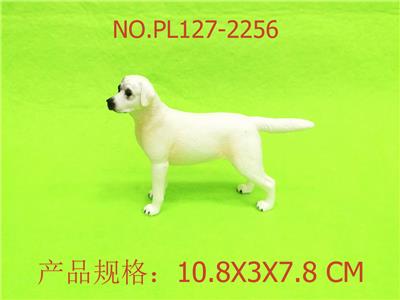 拉布拉多 - OBL949817