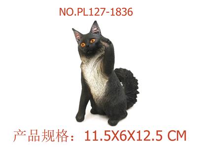 缅因库恩猫 - OBL949832