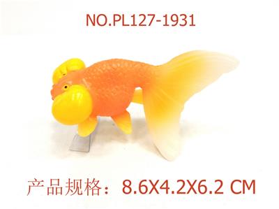 水泡眼 - OBL949837