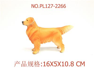 金毛犬 - OBL949848