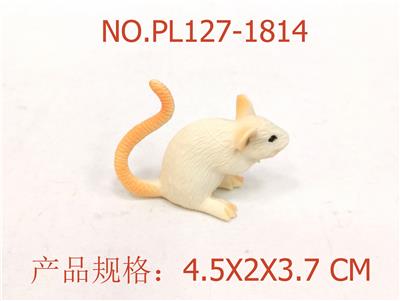 小白鼠 - OBL949872