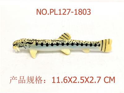 中华花鳅 - OBL949893