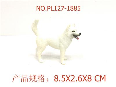 田园犬（白） - OBL949897