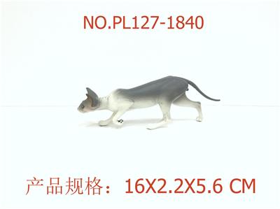 无毛猫 - OBL949901