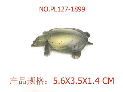 中华鳖 - OBL949911