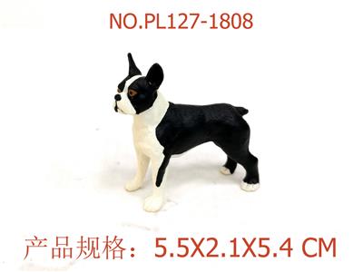 波士顿梗犬 - OBL949917