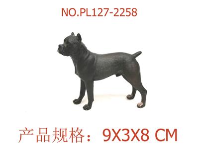 卡斯罗犬 - OBL949924