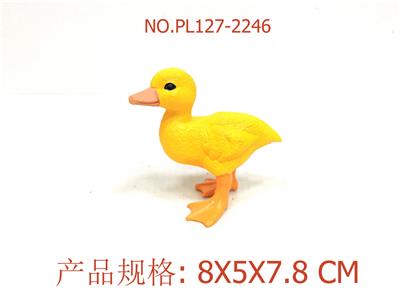 小黄鸭 - OBL949930
