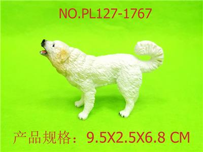 大白熊犬（白色） - OBL949938