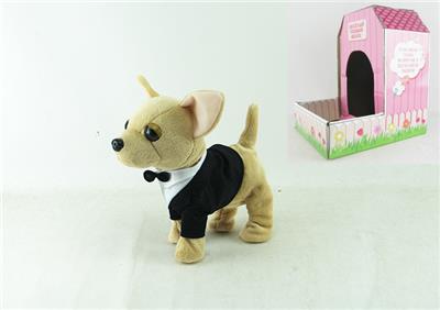 9吉娃娃狗 - OBL953582