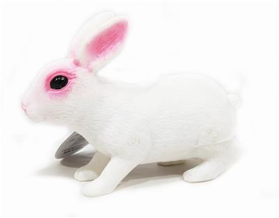兔子 - OBL964493