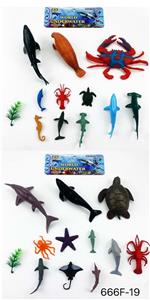 海洋二款混装 - OBL965493