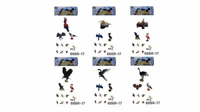 鸟六款混装 - OBL965742