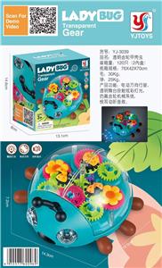 透明齿轮甲虫 - OBL972256