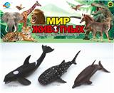 OBL10030437 - 海洋生物