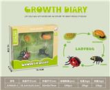 OBL10032630 - 科技生物进化演变过程（瓢虫）