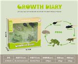 OBL10032631 - 科技生物进化演变过程（青蛙）