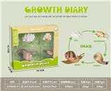 OBL10032633 - 科技生物进化演变过程（蜗牛）