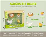 OBL10032634 - 科技生物进化演变过程（鸡）