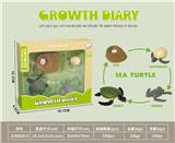 OBL10032637 - 科技生物进化演变过程（乌龟）