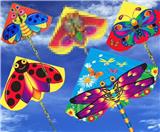 OBL10057100 - Windmill / kite