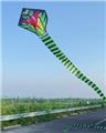 OBL10059239 - Windmill / kite