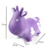 OBL10078418 - Inflatable series
