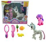 OBL10079743 - 飞马无功能
