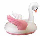 OBL10080081 - Swimming toys