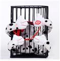OBL10081381 - Electric series