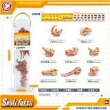 OBL10081836 - Animaltoys