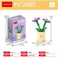 OBL10093227 - 瓜叶菊 53PCS