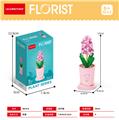 OBL10093233 - 风信子 56PCS