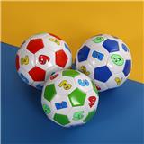 OBL10110656 - Basketball / football / volleyball / football