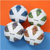 OBL10110670 - Basketball / football / volleyball / football