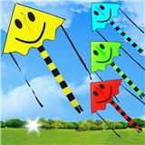 OBL10121459 - Windmill / kite
