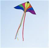OBL10121460 - Windmill / kite