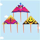 OBL10121467 - Windmill / kite