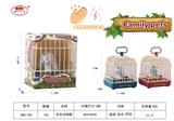 OBL10124949 - 欢乐宠物单只小猫
