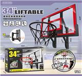 OBL10126775 - Basketball board / basketball
