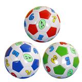 OBL10140456 - Basketball / football / volleyball / football