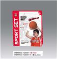 OBL10142110 - Basketball board / basketball