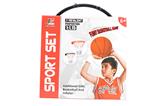 OBL10142115 - Basketball board / basketball