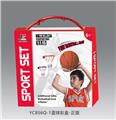 OBL10142116 - Basketball board / basketball