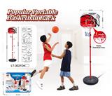 OBL10147302 - Basketball board / basketball