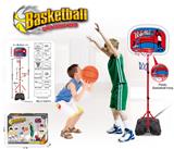 OBL10147311 - Basketball board / basketball